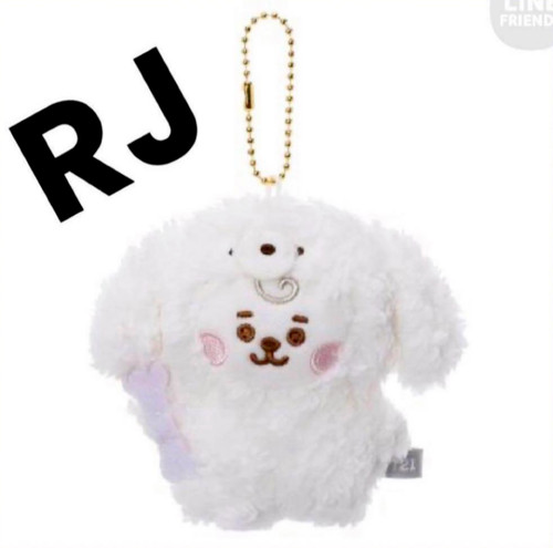 Bts bt21 baby jin - rj,