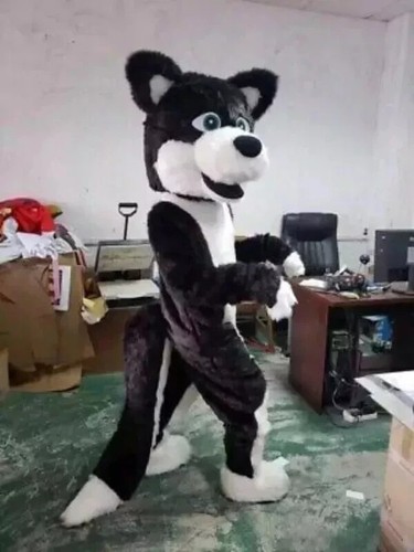 Costume mascotte cane husky