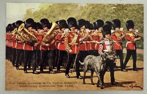 Cpa irish guards mascotte cane - mascotte,