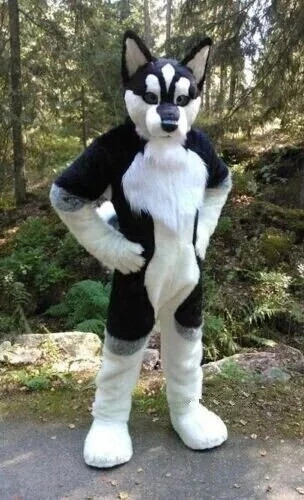 Costume lungo pelliccia husky