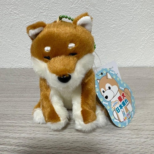 Amuse kuttari shiba inu - shiba,