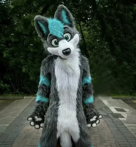 Fursuit costume completo - fursuit,