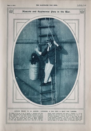 1916 wwi ww1 stampa mascotte - ww1,