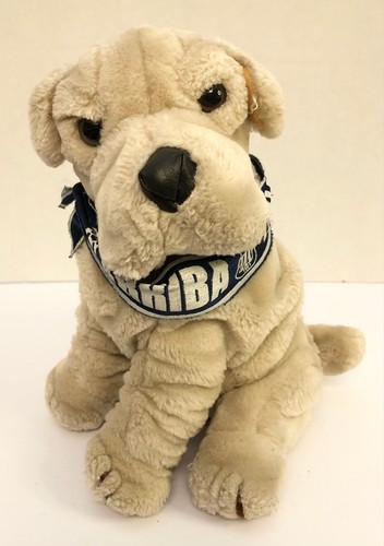 Club alianza lima sharpei - sharpei, cane