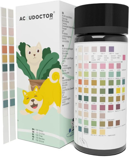 100 strisce accudoctor test - 100,