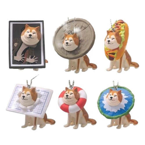 Set catene sfera per - set,