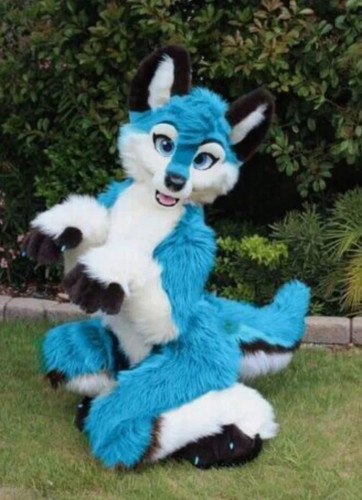 Costume lungo pelliccia husky