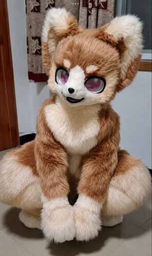 Costume mascotte lunga