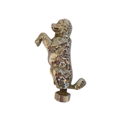 Vintage begging dog chromed - vintage,